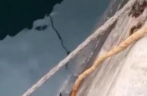 A Pet Cat Falls into the River and Desperately Climbs a 5-Meter Riverbank Due to a Couple's Breakup