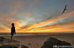 Born a Human: Live with Integrity and Righteousness for Yourself