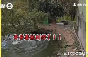 Uncle is Coming to Catch You! Color Ducks Fly and Crush Duck Girl