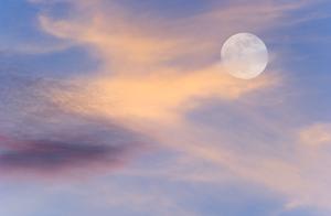 Love Poem Special · Dream (1)