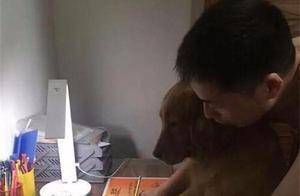 Cherished Moments: This Cat is So Heartwarming – It Comforted Its Owner Who Was Crying