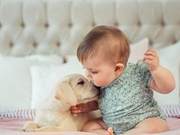 Can Dogs Lose Their Owners? Don't Underestimate Owners - Humans Can Recognize Dogs Through Smell