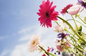 Bitter and Sad Sentences: "Happiness is Simple," Simple to the Point That Time Washes It Away