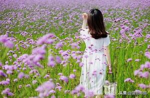 Everything Will Get Better Gradually