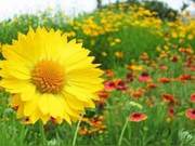 Smiling in the Sunlight, Running in the Rain – Wonderful!