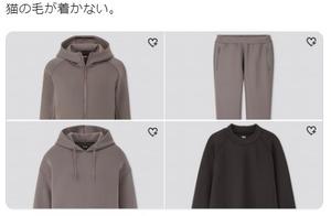 Non-Sticky Clothes Go Viral in Japan! Must-Buy for Cat Owners