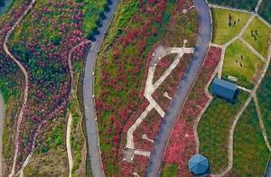 Spring in Ba'an: Red Maples of Hongfeng Beauty, Red Maples in South Lake Intoxicate the Mountains