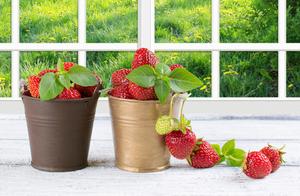Poem: Spring Outside the Window