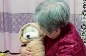 Grandma isn't feeding you, she's feeding you loving pig feed!