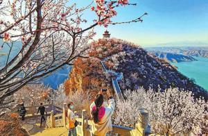 As Spring Comes, the 'Flames of Life' Intensify