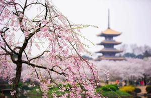 China's Most Beautiful Places in Spring