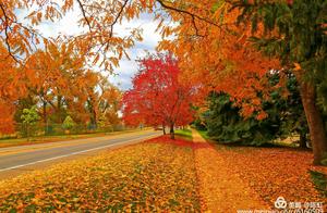 Cherish the People Around You, Walk Your Own Path!