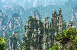 China's First National Forest Park, Filming Location for 'Avatar', Tickets Costing 225 for 4-Day Visit