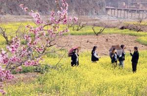 Splendid Spring Scene | Viewing the Most Beautiful April Days in the Deep Taishan Mountains of Jingshan County
