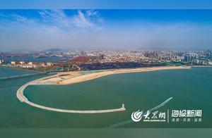 New Scenery! Dolphins Playing in the Sea at Dizhoulang Bay, Rizhao