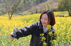 West Yellow Flower Sea in Full Bloom Featured on Anhui TV