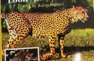 Look-Alike Animals: Animals That Resemble Each Other