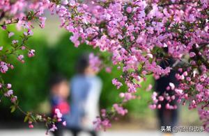 Bozhou Resident! In the Season of Warm Spring and Blooming Flowers, Don't Forget to Pay Attention to These 3 Points!