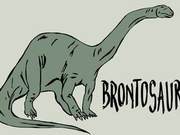 Hezhang, Guizhou, Discovers Jurassic Early Dinosaur Footprint Group