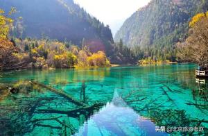 Traveling abroad is not because Chinese people don't have money, but because domestic travel is too expensive. Do you agree?