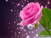 The person who loves you is difficult. You shouldn't realize their value until you've lost them.