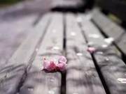 Measure everything in moderation; a person should know their limits and be content. Treat favorable circumstances well, and adverse circumstances with oneself.