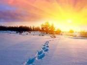 Rather Than a Single Ray of Light in My Heart, I'd Rather Be Alone