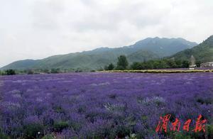 Have You Ever Seen the Beautiful Scenery of Tianliu Village?
