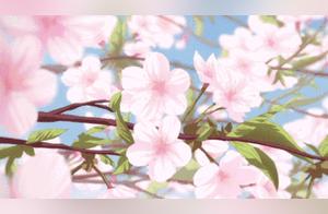 Duyun Xianjing (Mystical) Peach Blossom Forest Featured Online