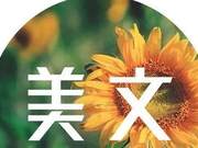 If You Displease Everyone, It’s Because of Your Lack of Cultivation!