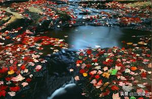 If you love, love deeply; if you abandon, abandon completely.