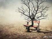 Psychological Test: What Do You See First? Test How Tired Your Heart Is?