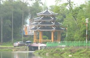 Huaiji County Forest Town: Leveraging the 'Beautiful Effect' of the Provincial Forest Town to Achieve Green and Wealthy Prosperity