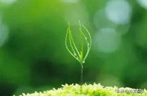 Come, Embrace the Spring!
