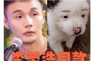 The puppy that looks like a dog is called Dog Huan, but instead of calling it Dog Huan, let's just give up!