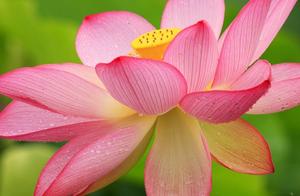 No Matter How Good the Fortune, 'Kindness' Must Support It