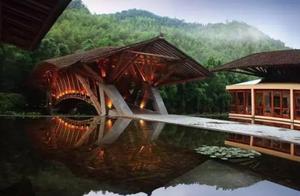 A Beautiful Bamboo Forest 'Crouching Tiger, Hidden Dragon' Location Exists at 500 Meters Above Sea Level, Netizens Praise