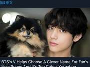 Can V's 'Food Prevention Pill' Service Still Be Experienced? V Helps Adopted Pet Get a Name