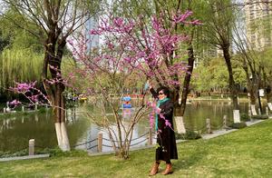 Tulips Bloom at Ma'anchi Lake Park, Citizens Flock to Visit - A Cause for Concern