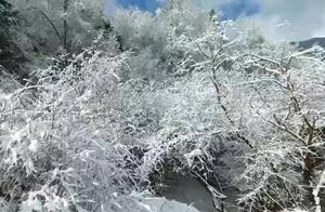 Suddenly, a Spring Snow Came, and Flowers Bloomed Everywhere in the Ancient City of Shangpan