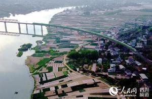 Wildflower Viewing in Chengdu: Toujiang First Gorge in Jinlang, Watching Yilong Flowers