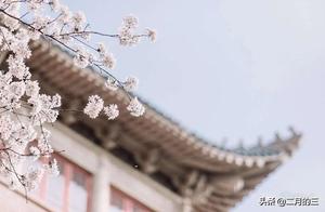 The long-awaited reunion of cherry blossoms, you and the bustling city, unchanged and not far away.