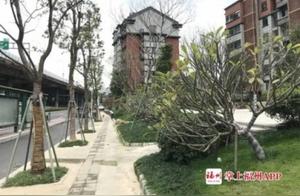 Fully Launched! Fuzhou Adds 230 New Parks