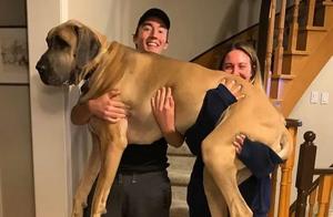 Adorable Pets Bring Unexpected Joy