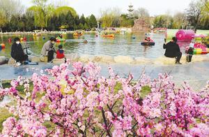 Enjoying the Scenery and Cherishing Spring