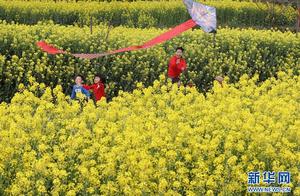 CCTV View on Longnan: Good Springtime in Longchang County – The Time is Right for Spring Scenery and Flower Viewing