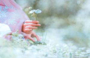 Year after year, Qingming Festival, one by one memories of missing, every second of memory, never forgetting, never departing