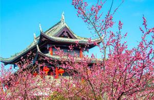 The intoxicating beauty of Jiangnan spring colors, Meili Ancient Town in a painted scene