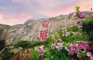 Searching for the Most Beautiful Spring | Colorful and Gorgeous, Captivating Daili