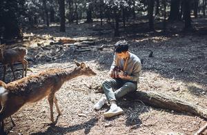 Small Deer in Nara, Japan, Come to You for Cookies – One of the Cutest Animals!